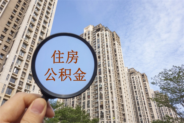 南阳公积金小额提取（公积金小额怎么提取）